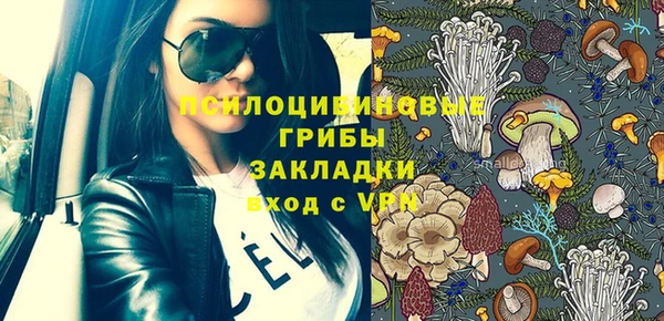 амф Алексин