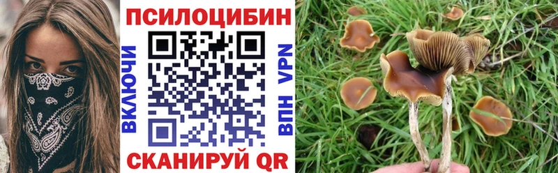 Галлюциногенные грибы мухоморы  где найти   Пучеж 